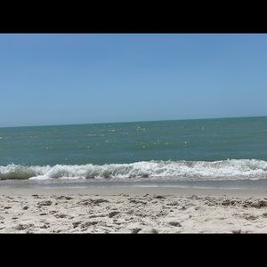 Meet your Posher, Gunn-ellen